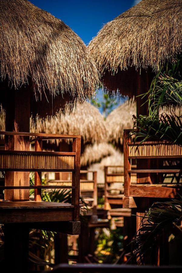 Hotel Carolina บากาลาร์ ภายนอก รูปภาพ